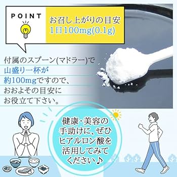 ヘルシー・カンパニー―人的資源の活用とストレス管理 ヘルシー・カンパニー: 人的資源の活用とストレス管理