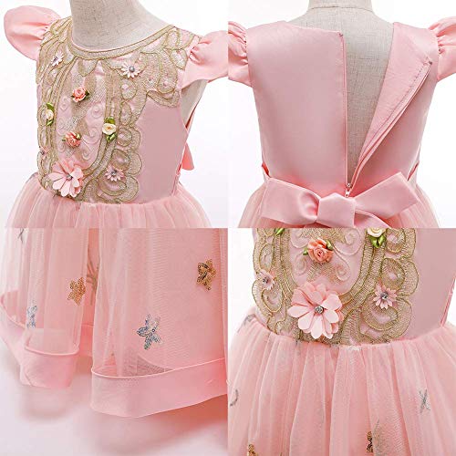 Girl Flower Royal Palace Lace Maxi A line Party Summer Dress Floor Length Princess Formal Prom Gothic Victorian Gowns Fancy Masquerade Dress Up for Party Wedding Pageant Peach Pink-02 5-6 Years4