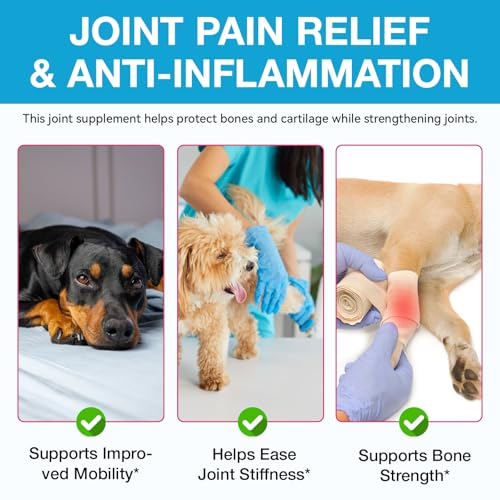 Pain Relief for Dogs, Gelenk Drops für Hunde, Dog Chondroitin Drops, Joint Aid & Relief with Glucosamine, Gelenk- & Knochenschutz für Hunde, 60ML