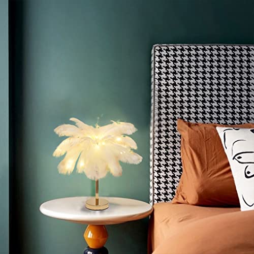 DUNMW Lampada da tavolo bianca creativa con piume