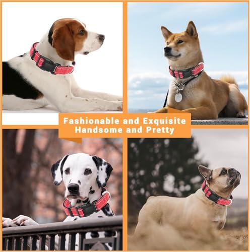 Image of Petology Reflective Adjustable Dog Collar for Medium Dogs (30-40 cms) | Soft Neoprene Padded Nylon Pet Collar with Safe & Quick Release Buckle | Comfortable, Lightweight & Durable