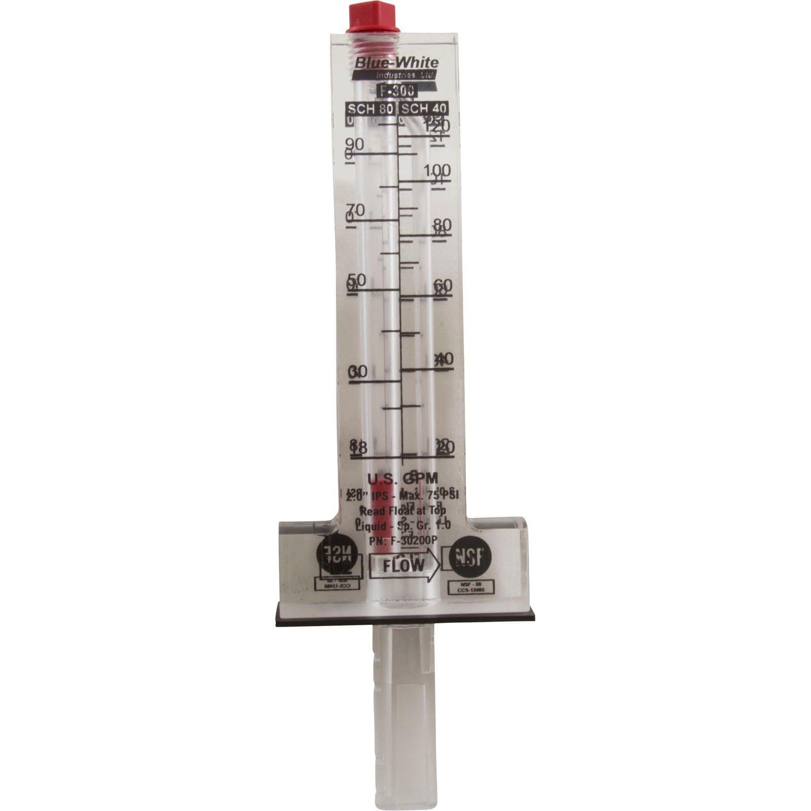 Blue-White Flowmeter - 2 Inch, 20-120 GPM -2