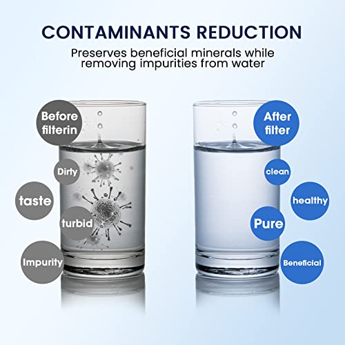 Glacier Fresh Epic Water Filter Compatible With Epic Pure Water Pitcher Or Dispenser, Aquagear Water Pitcher, Seychelle Water Pitcher, Remove Multiple Pollutants, 1 Pack #TOP4