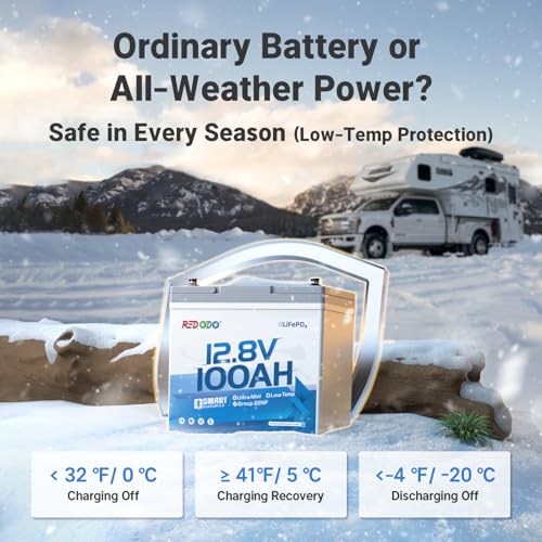 Image of Redodo 12V 100Ah Ultra-Mini LiFePO4 Bluetooth Deep Cycle Battery 2 Pack