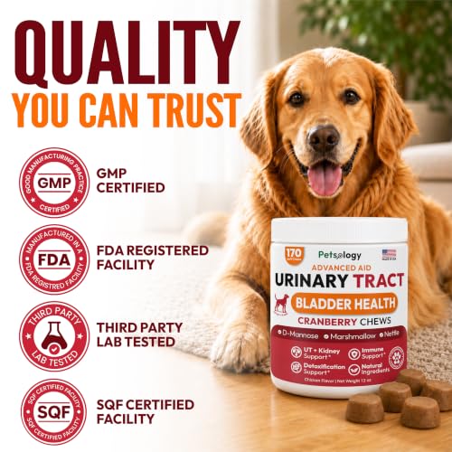 Image of Dog UTI Treatment - 170 Cranberry Chews for Dogs - Urinary Tract Infection