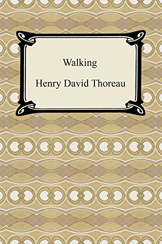 Toriox Carry Cart Shopping Cart Outdoors Compact Large Capacity Shopping Cart Picnic Stairs Up/Down Convenient Goods Unisex Sports Festival Travel Home Fishing (Model-1 (Big) 43 x 34 x 41 cm)