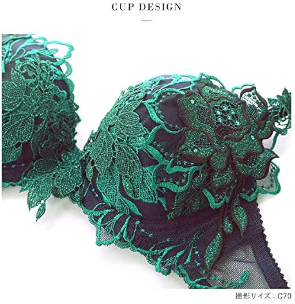 salute サルート ナイトアップブラ 20G 20グループ WI L ワコール