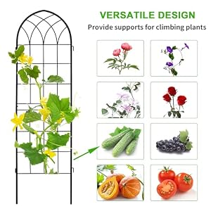 LZRS 2 Pack 71x20in Rustic Iron Arch Decoration Garden Trellis with Black Metal Coating–Perfect for Supporting Climbing Plants Outdoor Roses Vines Flowers and Vegetables