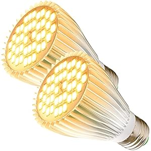 2 Pack LED GROW LICHT LILB, 30W VOLLEDIGE SPECTRUM PLANT LICHT BOLB WARME LED GROOP LICTEN VOOR BUTSENPLANTEN Groenten, bloemen, kamerplanten en zaailingen, E27 -lamp voor kas, tuin, hydroponisch