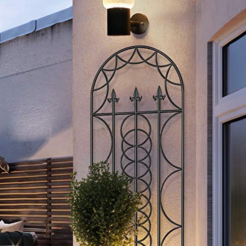 Amagabeli 2 Pack Large Garden Trellis For Climbing Plants 71” X 21” Heavy Duty Rustproof Black Iron Plant Trellis For Potted Plant Support Tall Wall Metal Trellis For Rose Vine Vegetable Cucumber Gt02 #TOP6