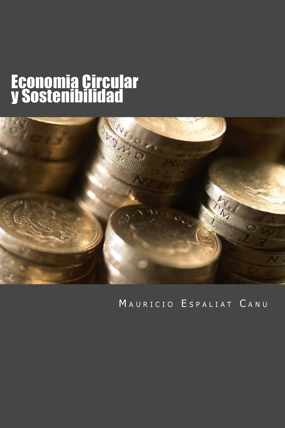 Economia Circular y Sostenibilidad: Nuevos enfoques para la creacion de Valor (Spanish Edition)