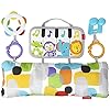 Fisher-Price GJD27 Muziekspeelkussen, muziekspeelgoed om te spelen in de buikligging, babyuitrusting vanaf de geboorte