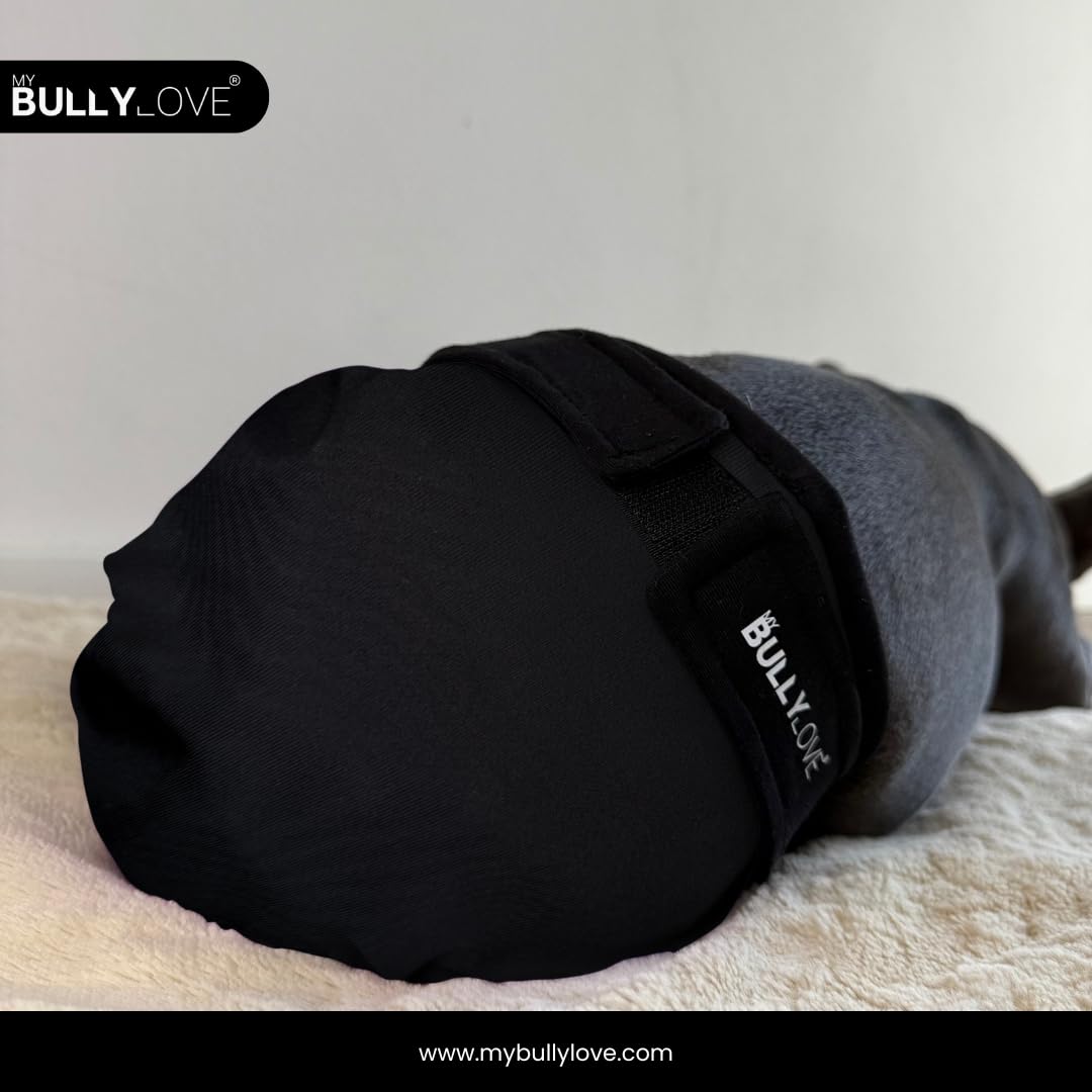 Läufigkeitshöschen für Französische Bulldoggen – Wiederverwendbare Hundewindel ohne Rutenloch, handgefertigt & stufenlos verstellbar (Groß (49-53cm Hüftumfang), All Black)