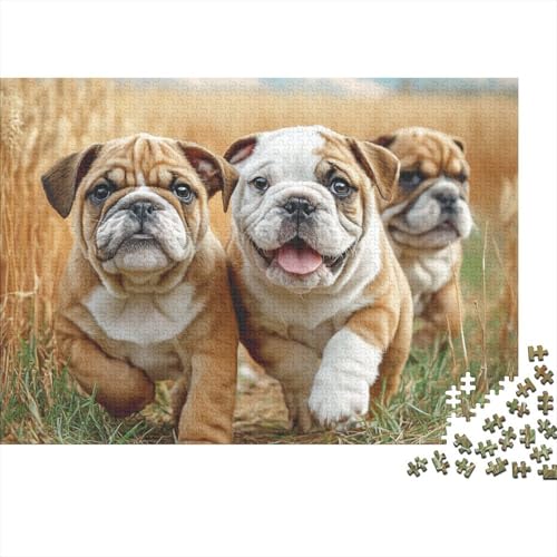 Rompecabezas imposible contra el aburrimiento: desafío de 1000 piezas con diseño de bulldogs