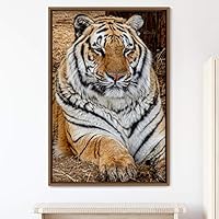 Framed Canvas Wall Art Tiger Animals Chic Dramatic Lion Living Room Multicolor Photography - 16x24 inches