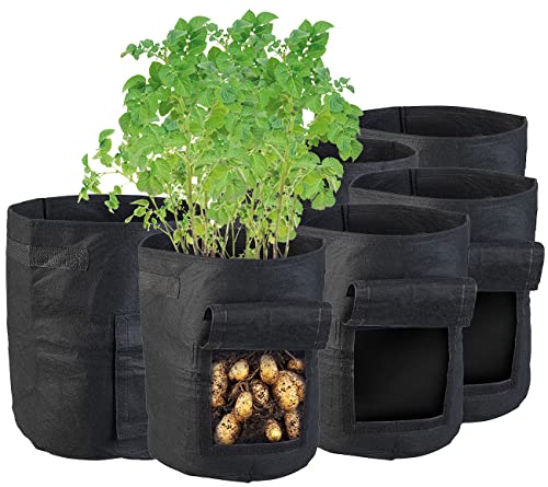 Royal Gardineer Pflanzsack mit Griffen: 6er-Set Pflanzen-Wachstumssäcke, je 18 l, Tragegriffe, Erntefenster (Tomatenpflanzsack, Grow-Set, wasserdichte Taschen)