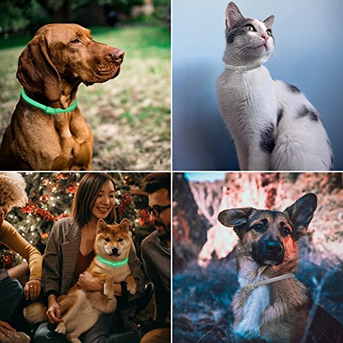 DEWEL Leuchtendes Zeckenhalsband für Hunde, Zeckenhalsband Leuchthalsband Hund Verstellbar Floh-und Zecken Prävention Halsbänder Wasserdicht Fluoreszierendes Flohhalsband gegen Ungeziefer, 63.5cm