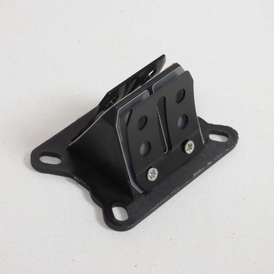 Válvula de admisión Teknix para Gilera 50 GP anterior a 2006