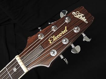 Aria Pro II APE-100 TS エレアコ ロック式ペグ交換済 Aria Pro II APE-100 TS エレアコ ロック式ペグ交換済 Aria Pro