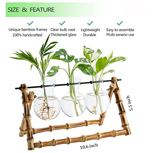 Plant Propagation Stations Terrarium Bamboo Stand, Desktop Planter Glass Bulb Vase Plant Holder Lover Gift Retro Tabletop Indoor Hydroponics Plant Cutting Home Garden Office Decor (Bulb Shape) #TOP6