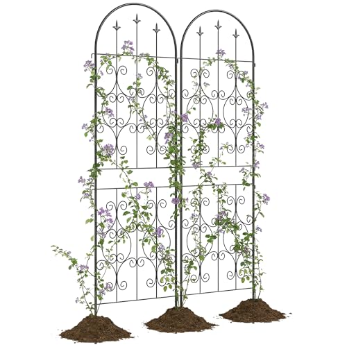 Outsunny Lot de 2 Supports pour Plantes Grimpantes, Treillis de Jardin avec Motifs de Volutes, pour Légumes, Vignes, Fleurs, en Métal, 50 x 180 cm, Noir