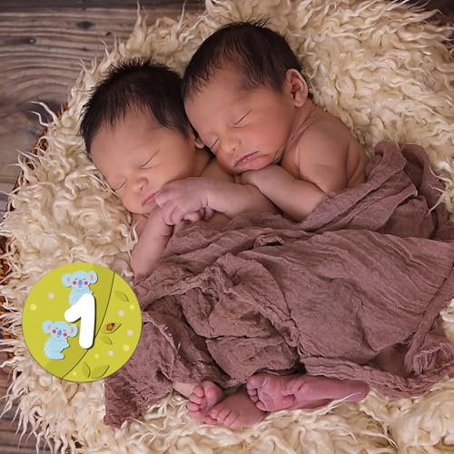 Image of 14 Designs Safari Twin Baby Monthly Milestone Cards Sign, 1-12 Months Wooden Photo Props for Twins, Gender-Neutral Twin Baby Shower Cards, Twins Memory Book Essentials (Twins Monthly Milestone)