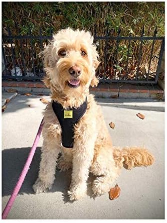 Miniatura 6 de Arnés ajustable para perro, sin tirones y sin estrangulamiento, chaleco para mascotas, reflectante, ajustable, transpirable, clip frontal, arnés