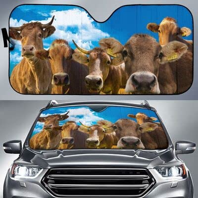 Pare-soleil voiture universel pliable protection été motif bovins braunvieh m