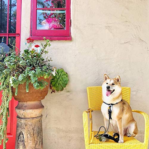 Pogi’s Dog Poop Bags - 10 Rolls (150 Doggie Poop Bags) - Leak-Proof Dog Waste Bags - Scented, Ultra Thick, Extra Large Poop Bags For Dogs #TOP5