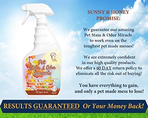 Pet Stain & Odor Miracle - Enzyme Cleaner for Dog and Cat Urine, Feces, Vomit, Drool (Fall Spice Scent, 32 FL OZ)