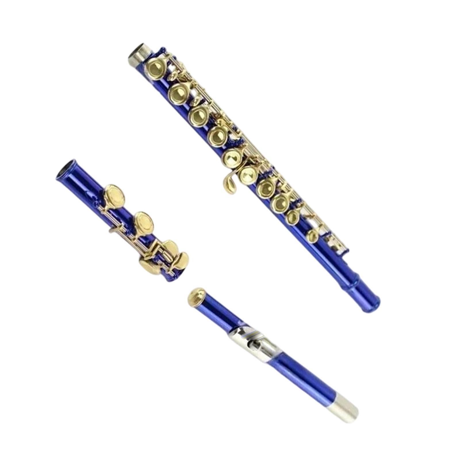 Flute Instruments Profesjonalny flet C z 16 otworami i zamkniętym otworem