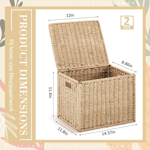 Jingmore 2 organizadores de caixa de arquivo de algas marinhas, armário de arquivo suspenso dobrável