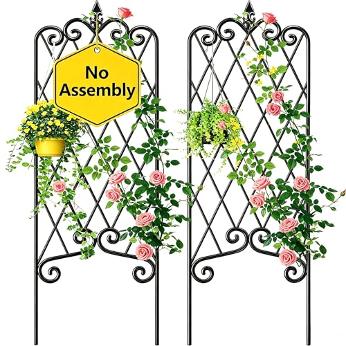 AMAGABELI GARDEN & HOME 2 Pack Black Garden Trellis 47x16