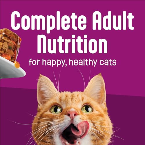 Purina Friskies Fully Load'd Wet Cat Food, Salmon, 24 Count, 5.5 oz - image 7