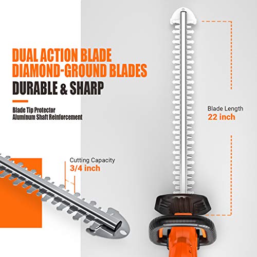 TACKLIFE Cordless Hedge Trimmer, 22-Inch Hedge Trimmer, 20V Battery and Charger Included, Rotating Rear Handle, 0.74-in Cutting Gap, with Blade Cover, for Hedges, Shrubs and Bushes Cutting-DHT1A