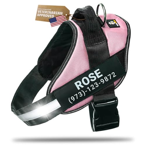 Personalized Dog Harness with Custom Name Patches, Adjustable Reflective No Choke Dog Vest with Handle for Small Dogs and Growing Puppy, Pink, XS