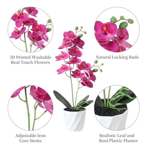 Dremisland 3PCS Artificial Orchid Flower Bonsai 38cm Faux Potted Butterfly Orchid in White Pots Phalaenopsis Fake Silk Flower Plants Foliage Indoor Decor for Home Table Centrepiece Living Room - Image 3