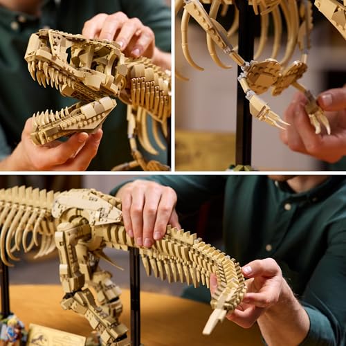 LEGO Jurassic World 76968 Les Fossiles de Dinosaures : le Tyrannosaurus Rex Pour Adulte - vue 6