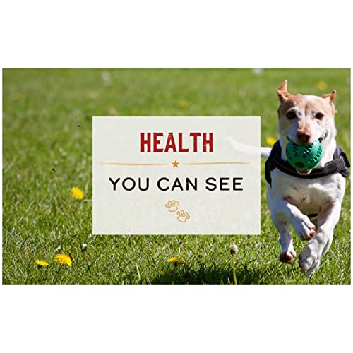 Merrick 39004 Limited Ingredient Diet Premium Grain Free Wet Dog Food, Healthy And Natural Canned Dog Food thumb #6