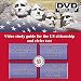 US Citizenship test on DVD: video study guide includes the American Civics test, civics lessons, Interview and the Naturalization Process. With all 100 USCIS questions and answers.