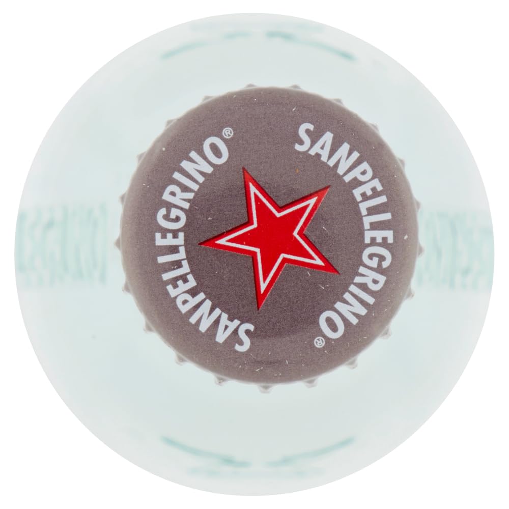 48er-Pack San Pellegrino Tonica Rovere,Kohlensäurehaltiges Erfrischendes italienisches Alkoholfreies Getränk,Tonic Wasser mit Eichenextrakt,20cl Einweg-Glasflasche