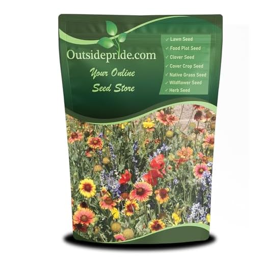Best garden flowers for beginners Drought-Tolerant Wildflower Seed Mix