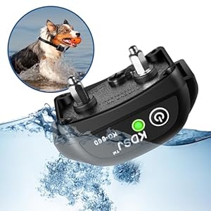 Electric Fence for Dogs Inground/Underground Dog Fence System Wired Pet Containment System w/2 Rechargeable Waterproof Training Collar Receivers, 656ft Boundary Wire, Tone & Shock Correction