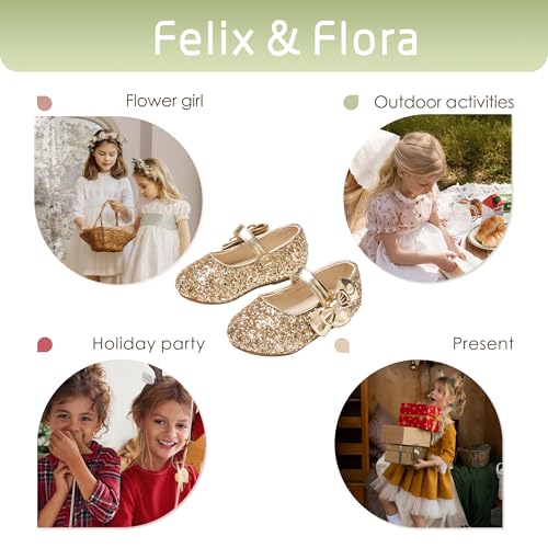 Image of Felix & Flora Toddler Flower Girl Dress Shoes - Baby Girl Ballet Mary Jane Flats for Party School Wedding