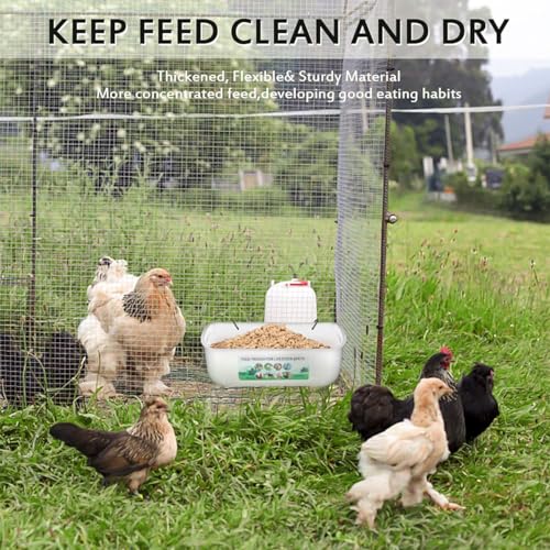JINNAGLTU Comedouro de galinha para cabra com clipe para pendurar cerca alimentadora de aves, recipi