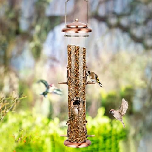 Comederos para pájaros silvestres transparentes para proteger semillas 4