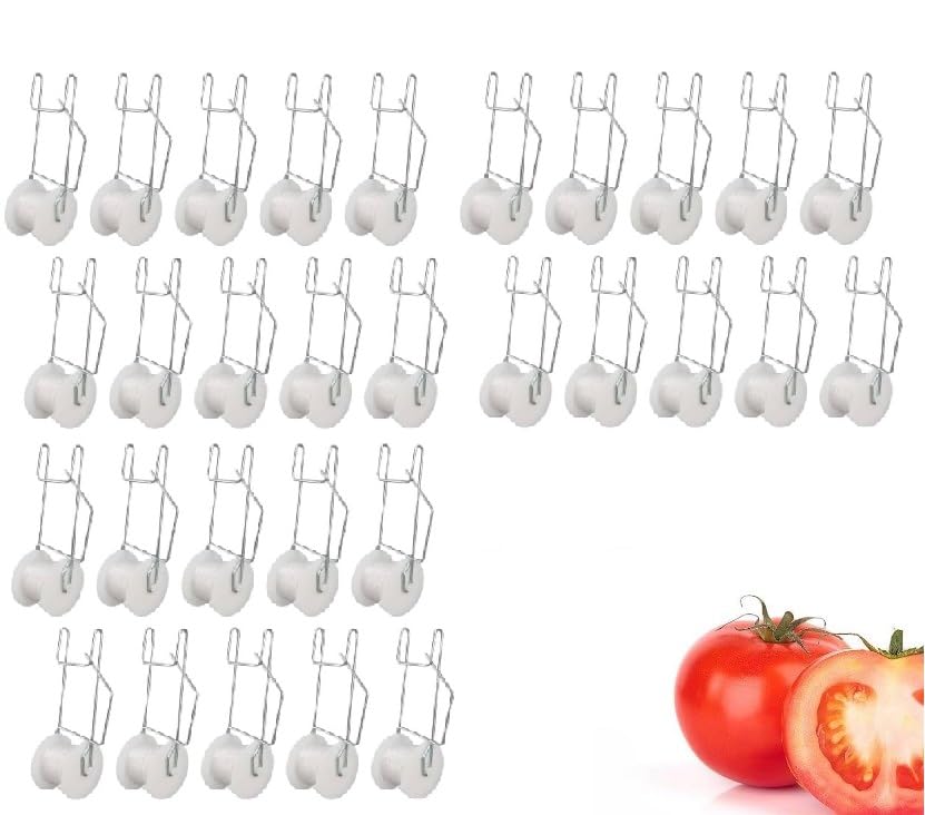 ZHANTAI Lot de 30 crochets à rouleau pour treillis à tomates avec ficelle de 15 m de ficelle robuste pour treillis et plantes - Fil d'acier PP résistant à...