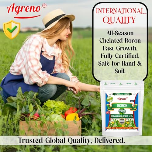 Image of Chelated Boron - 20% EDTA, Powerful Essential Organic Fertilizer for Fast Growth of All Plants. (1 kg)