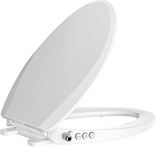 Bidet Toilet Seat