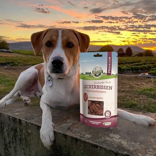 Bellfor Leckerbissen für Hunde Hühnerherzen Hundefutter - 50 g. Gefriergetrockneter Hundesnack. Getreidefreies Hundeleckerli, proteinreich und leicht verdaulich, ohne künstliche Zusätze.